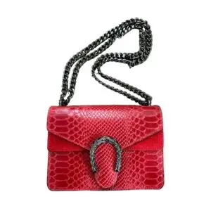 Gucc Bag